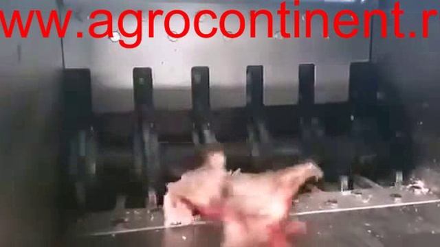 Дробилка для костей, шредер, измельчитель смотреть онлайн