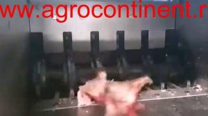 Дробилка для костей, шредер, измельчитель