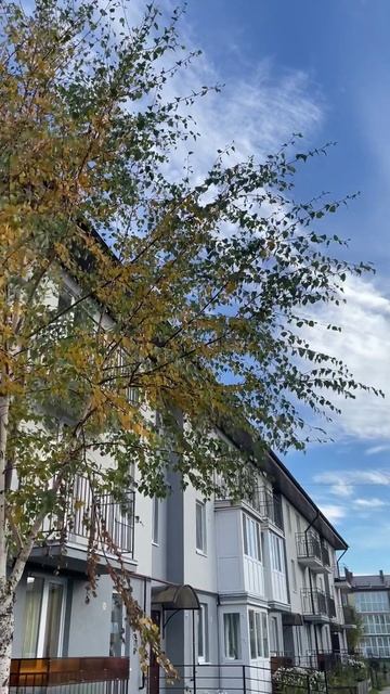 В ЖК Новое Голубево квартиры от 2 691 000 руб #калининград #домпродажа #новостройки #недвижимость