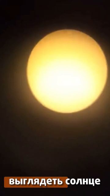 В телескоп можно смотреть не только ночью! смотреть онлайн