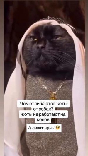 Что думаете?