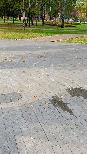 Почти пустой парк. Утро 🛴⛲ #shorts #shortvideo #парк #осень #фонтан смотреть онлайн