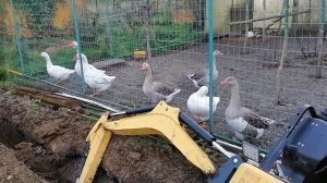 Отзыв риппа319 после капиталки