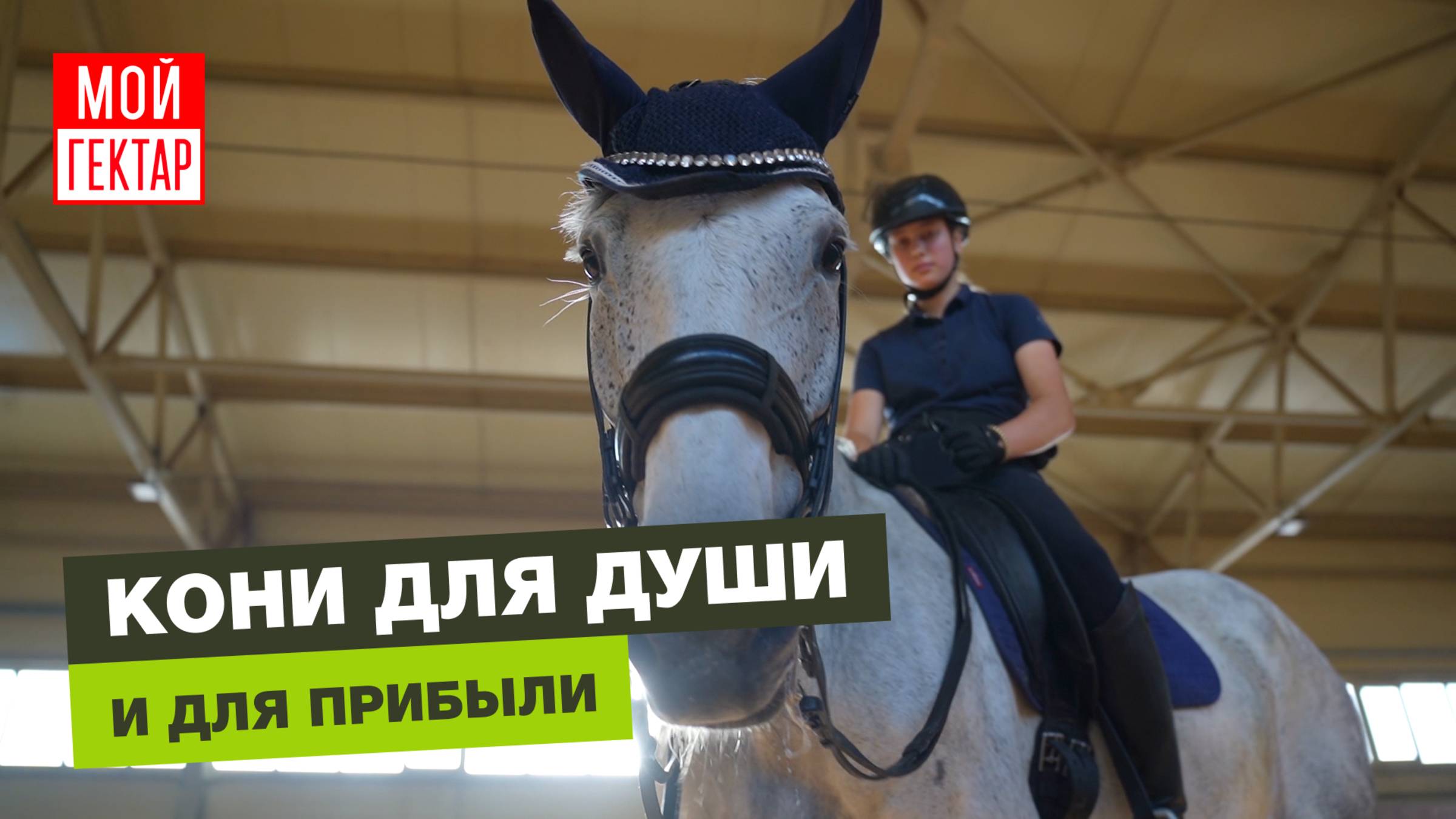 ОНА ЗНАЕТ ЯЗЫК ЛОШАДЕЙ | ЖЕНЩИНА–ТОРЕАДОР | КОННЫЙ СПОРТ | ОТ СОХИ ДО СОХИ смотреть онлайн