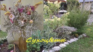 Букет из сухоцветов (статица, гелихризум, гомфрена) #113