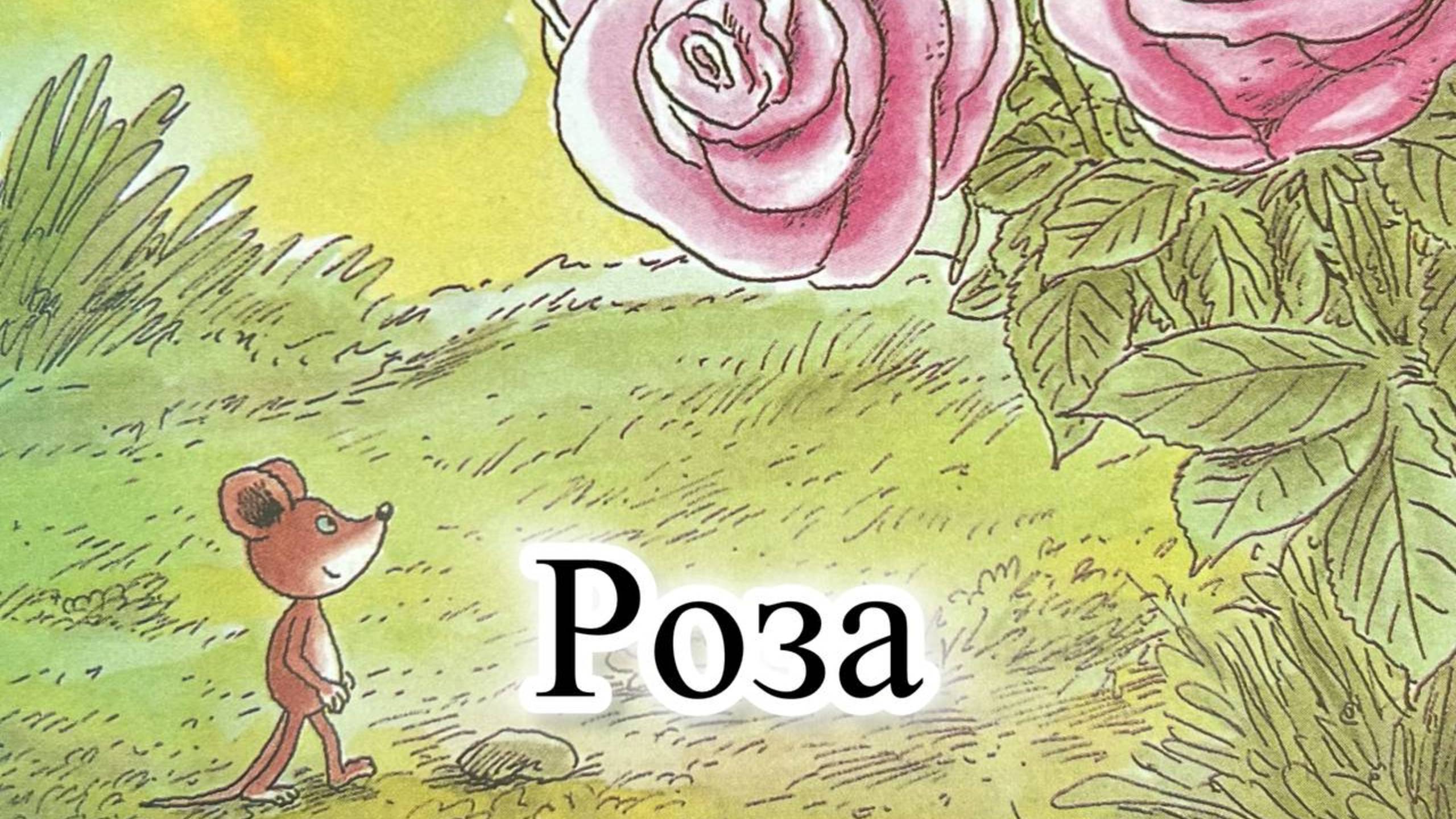 КНИЖНЫЙ-ПРАЙМ