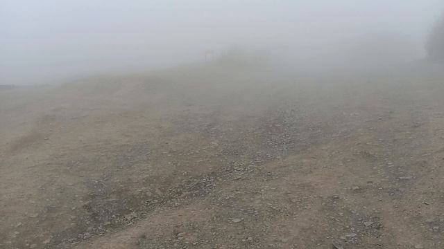 Поднялись к лавочке смотреть онлайн