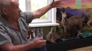 Немного о кабарге