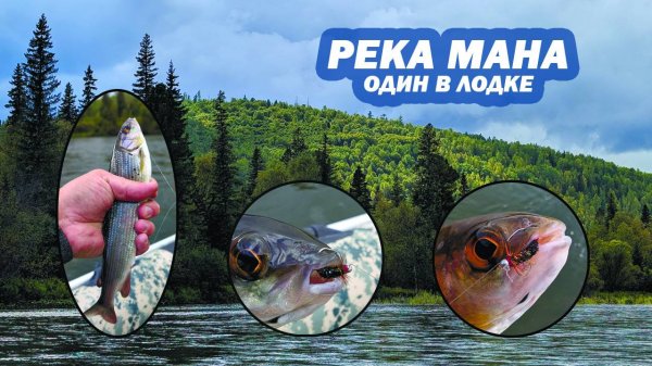 Рыбалка на реке Мана в Августе. Один в лодке. Ловля Хариуса на легкую балду.