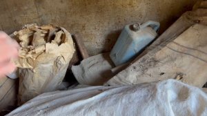 Разбираю хлам в сарае, нашла золото )))