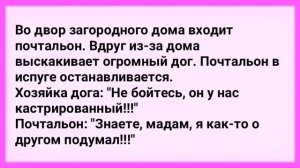 Сборник Смешных Анекдотов! Лучшие Короткие Анекдоты для Настроения! Выпуск 39