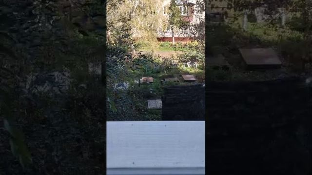 всем привет 👋 смотреть онлайн