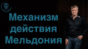 Механизм действия мельдония.