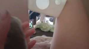 хомячок Кузя джунгарик