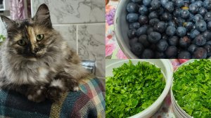 Съездили в Лальск ,мои покупки .