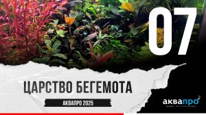07. Царство Бегемота. #АкваПро
