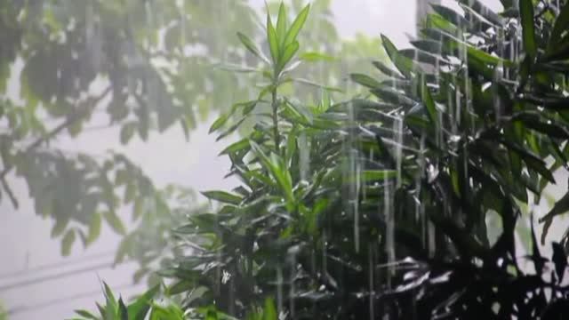 Вальс дождя(клип)