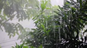 Вальс дождя(клип)