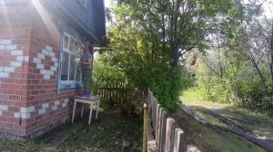 крашу окна/спилили яблоню