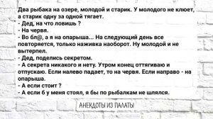 Мужик попал в Ад. Сборник Смешных Анекдотов! Выпуск 21