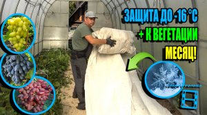 АВТОНОМНАЯ ПРОТИВОЗАМОРОЗОЧНАЯ SUPER СИСТЕМА ДЛЯ ВИНОГРАДНИКА ДО -16 °C. СЕВЕРНЫЙ ВИНОГРАДНИК 25-34