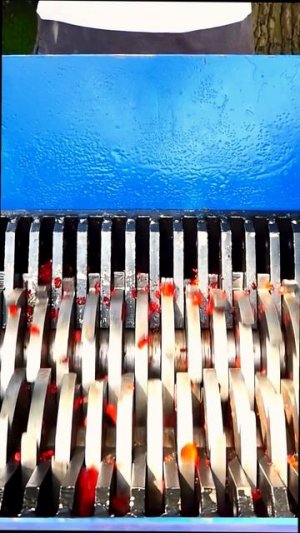 Измельчитель арбуза