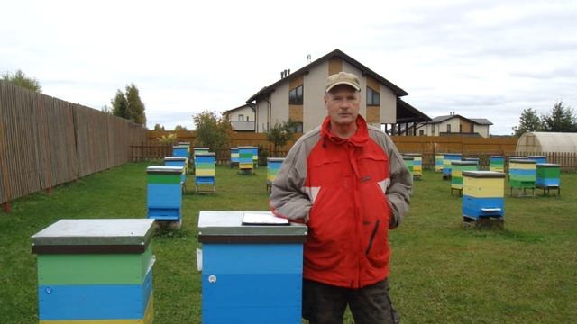 Какую породу выбрать для приусадебной пасеки. Часть 1. Среднерусская пчела.