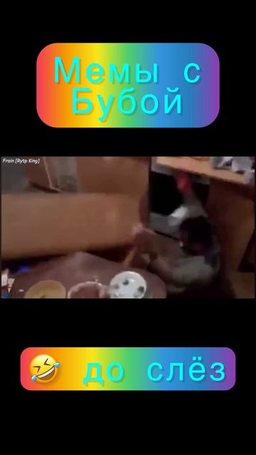 Мемы с Бубой (до слёз)!