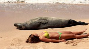 ✅ ТОП ПРИКОЛЫ — РЖОМ ДО КОЛИК! 🤣