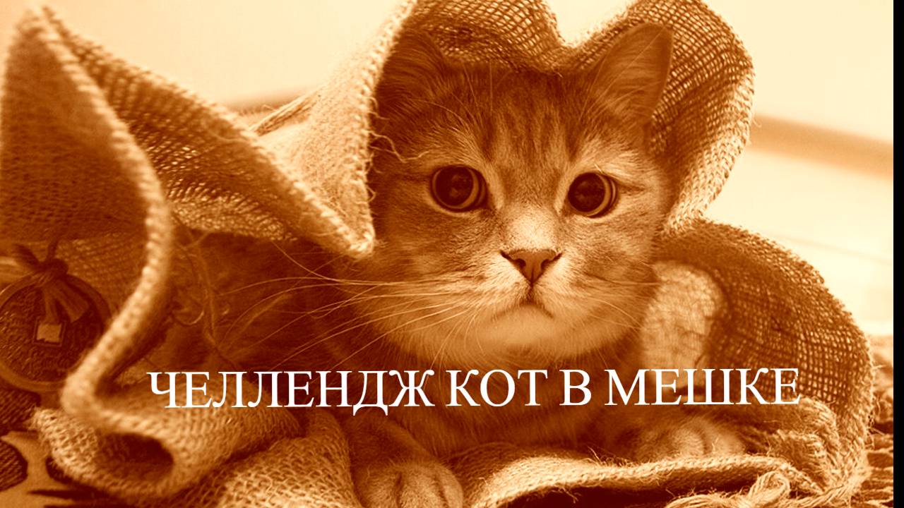 Челлендж Кот в мешке возвращается Сентябрь 2025 смотреть онлайн