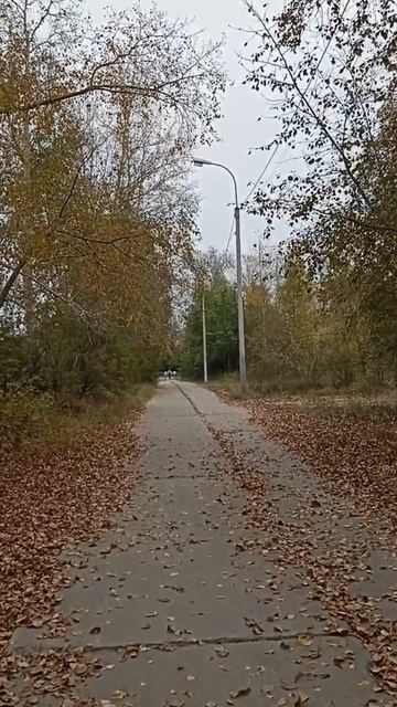 Золотая осень