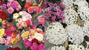 ЯРМАРКА "ФЕЕРИЯ ЦВЕТОВ" 🌹🌸🌺😍 Ростов-на-дону