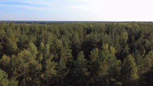 copy_868C48F1-A967-4ED5-B482-8D7BFC5E6995