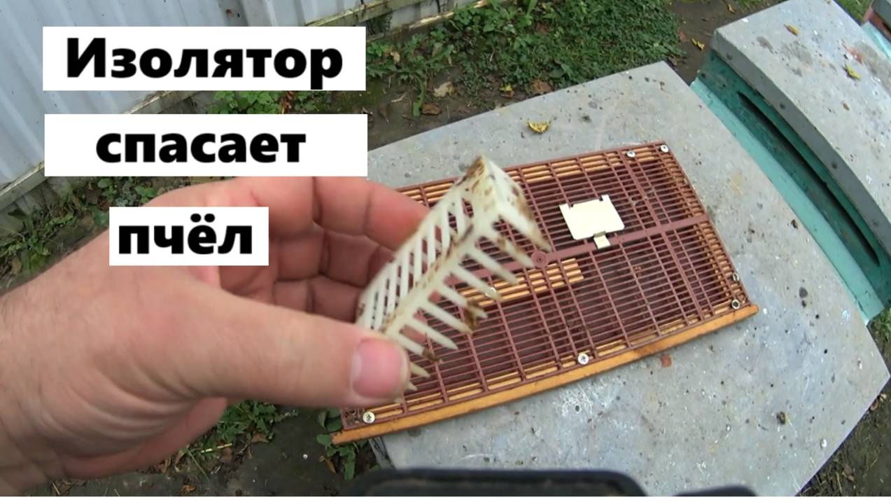 Переход на пчеловодство с изоляторами смотреть онлайн