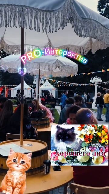 PRO-Интерактив - понравится вам и даже вашей маме 🔥