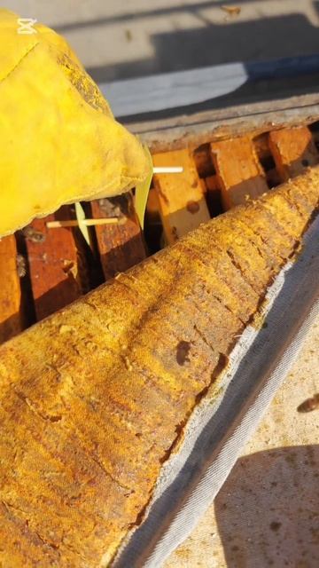 Продолжаем лечить наших пчел 🐝 перед зимовкой. #мед24на7