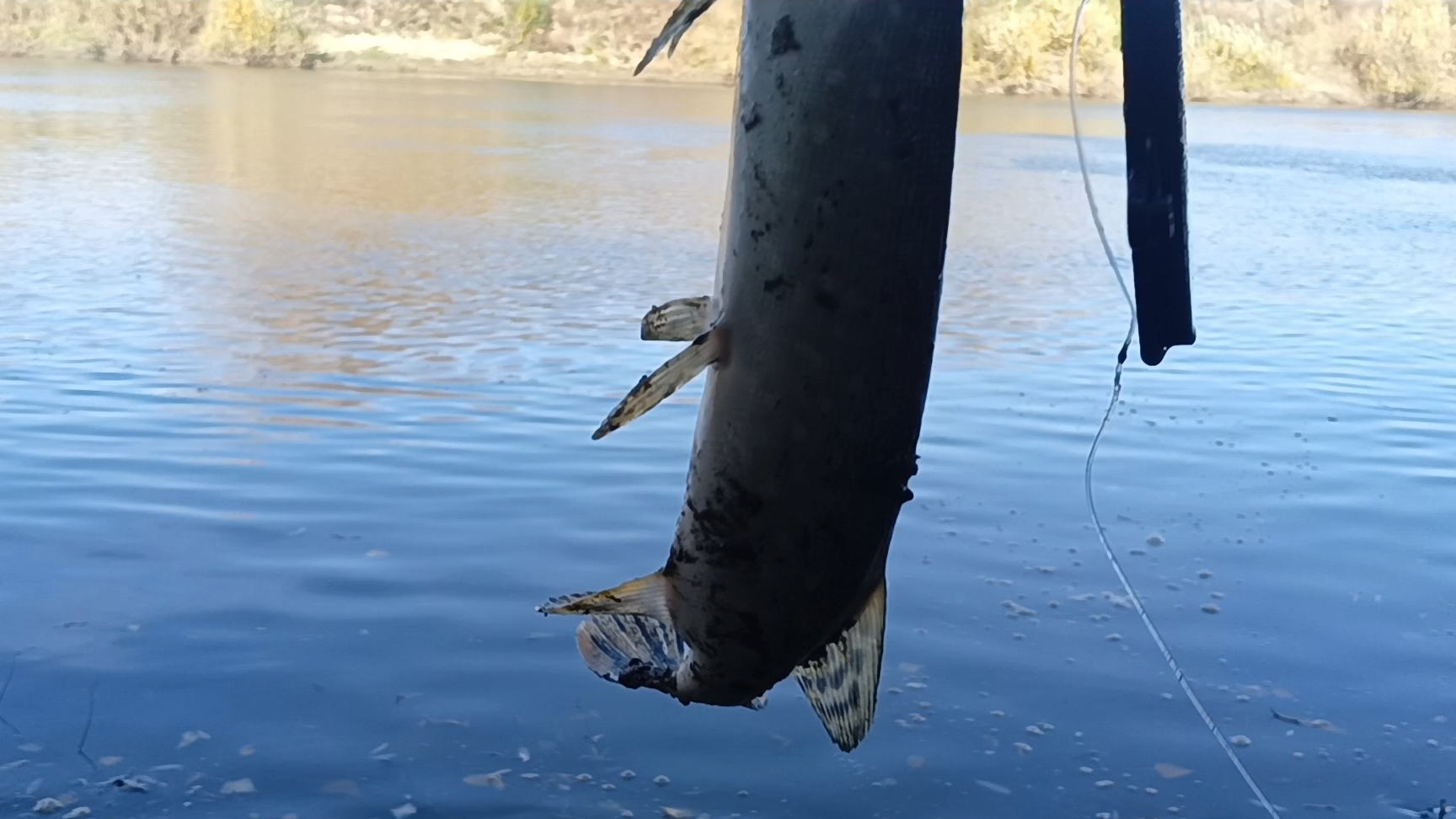 Проверка закидушек на хищников.25.09.25г.Осенний сезон открыт. смотреть онлайн