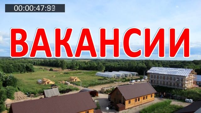 БЕССМЕРТНИК продлевает жизнь, восстанавливает печень, почки, желчный пузырь, раб смотреть онлайн