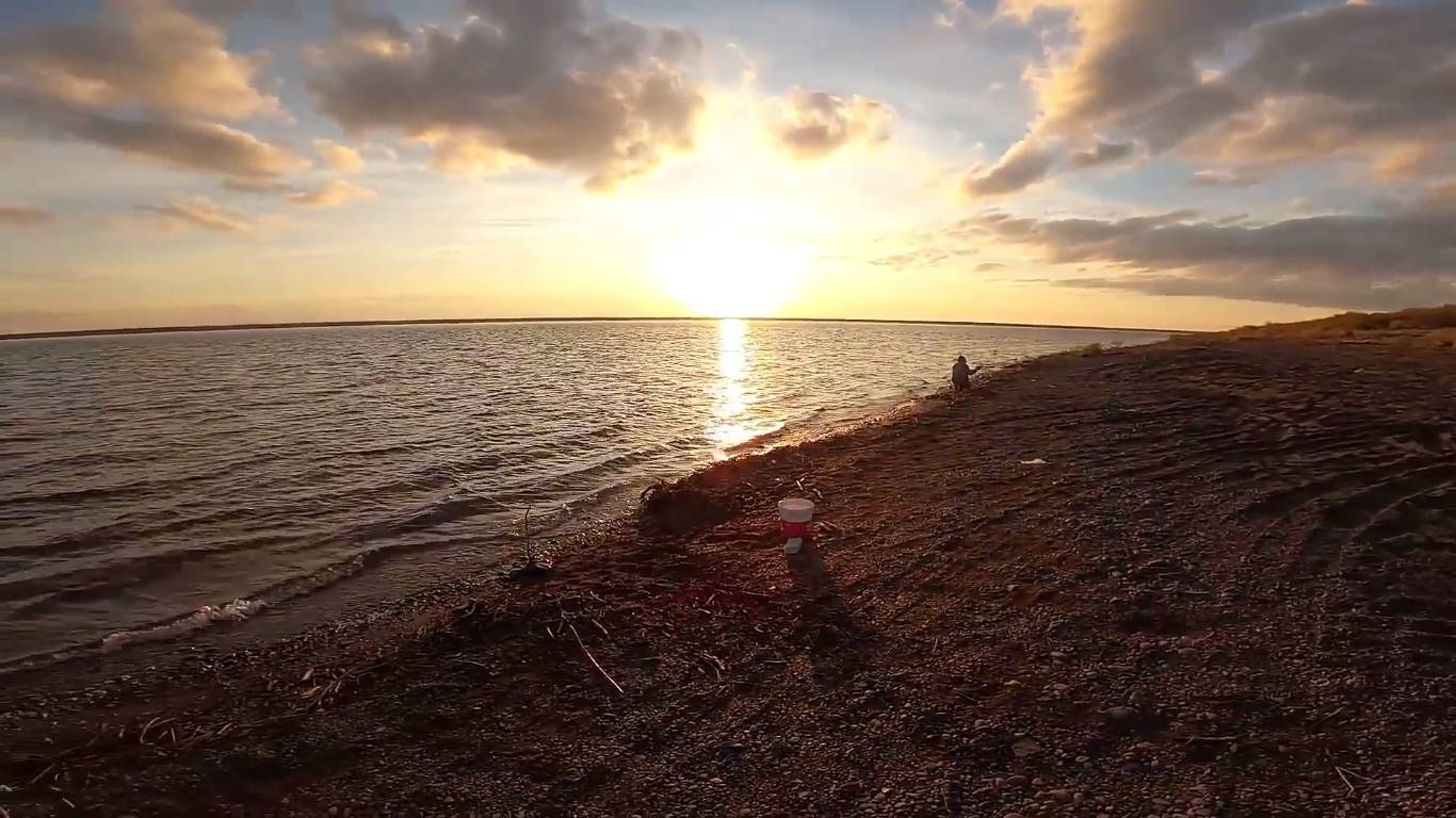 Рыбалка на Енисее. Ловля налима на закидушки. смотреть онлайн