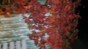 Терраса строится. Ночь без крыши.