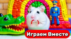 ЛАБИРИНТЫ  С ЛОВУШКАМИ И МОНСТРАМИ ДЛЯ УМНОГО ХОМЯКА 🐹 ВИДЕО ПРО ХОМЯКА ДЛЯ ДЕТЕЙ 🐹