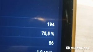 Статистика Рутуб