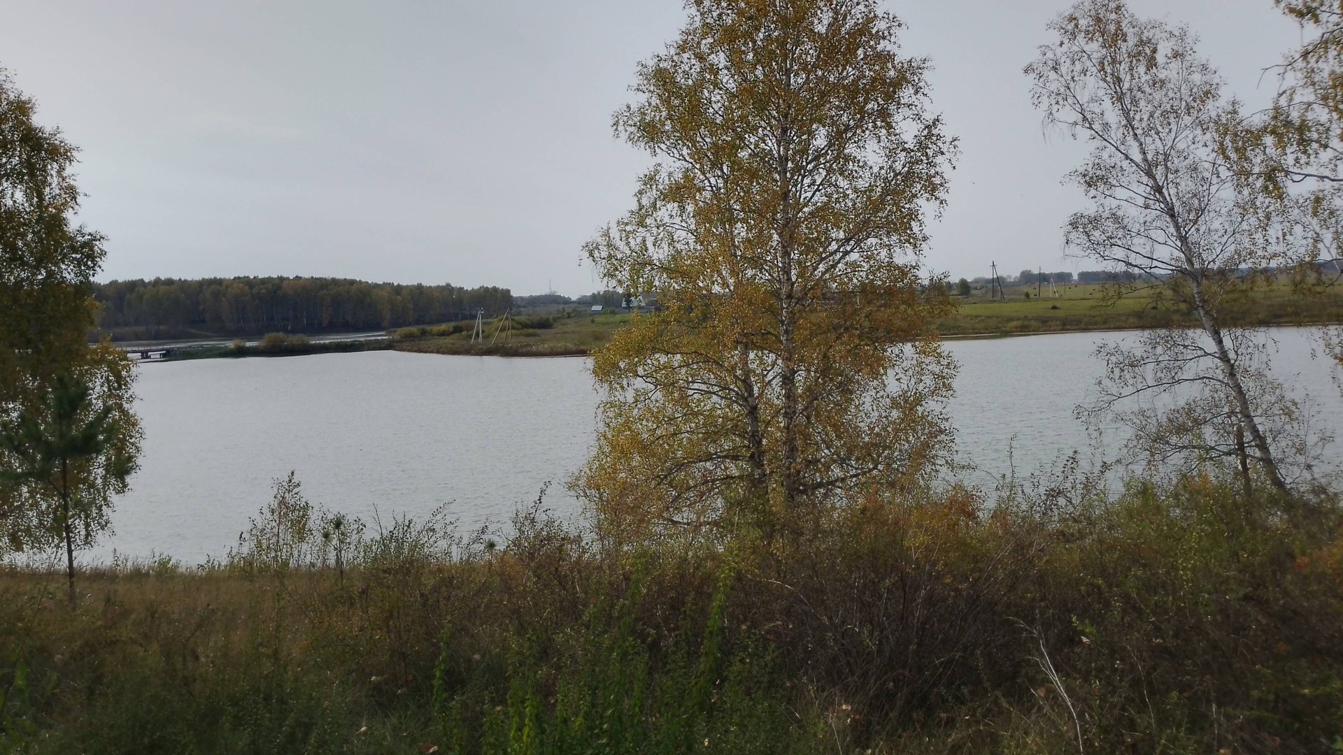 ШАЛАШ В ЛЕСУ смотреть онлайн