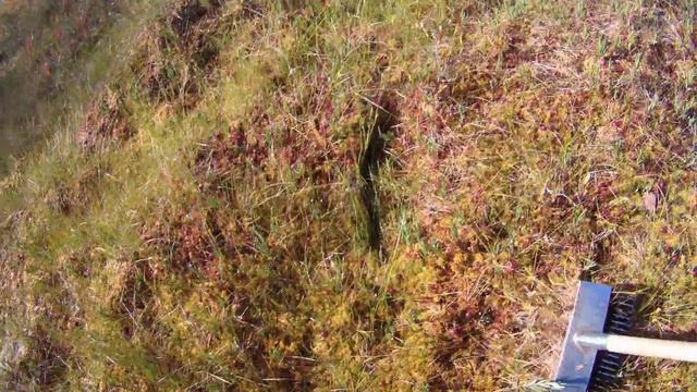 Грибной сезон пока закрыт,а клюквенный открыт!!!