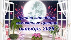 Лунный календарь комнатных растений и цветов на октябрь 2025 года