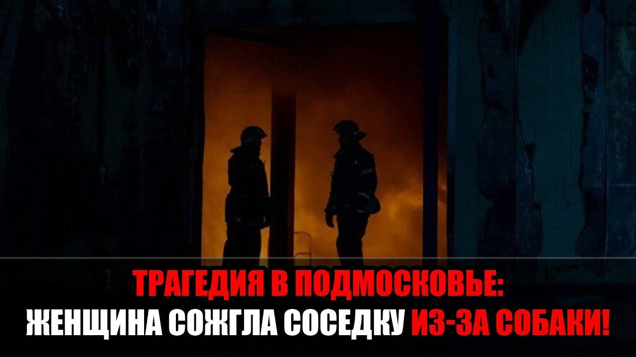 В Подмосковье соседка сгорела заживо: женщина обвинила её в краже собаки и подожгла дверь квартиры смотреть онлайн