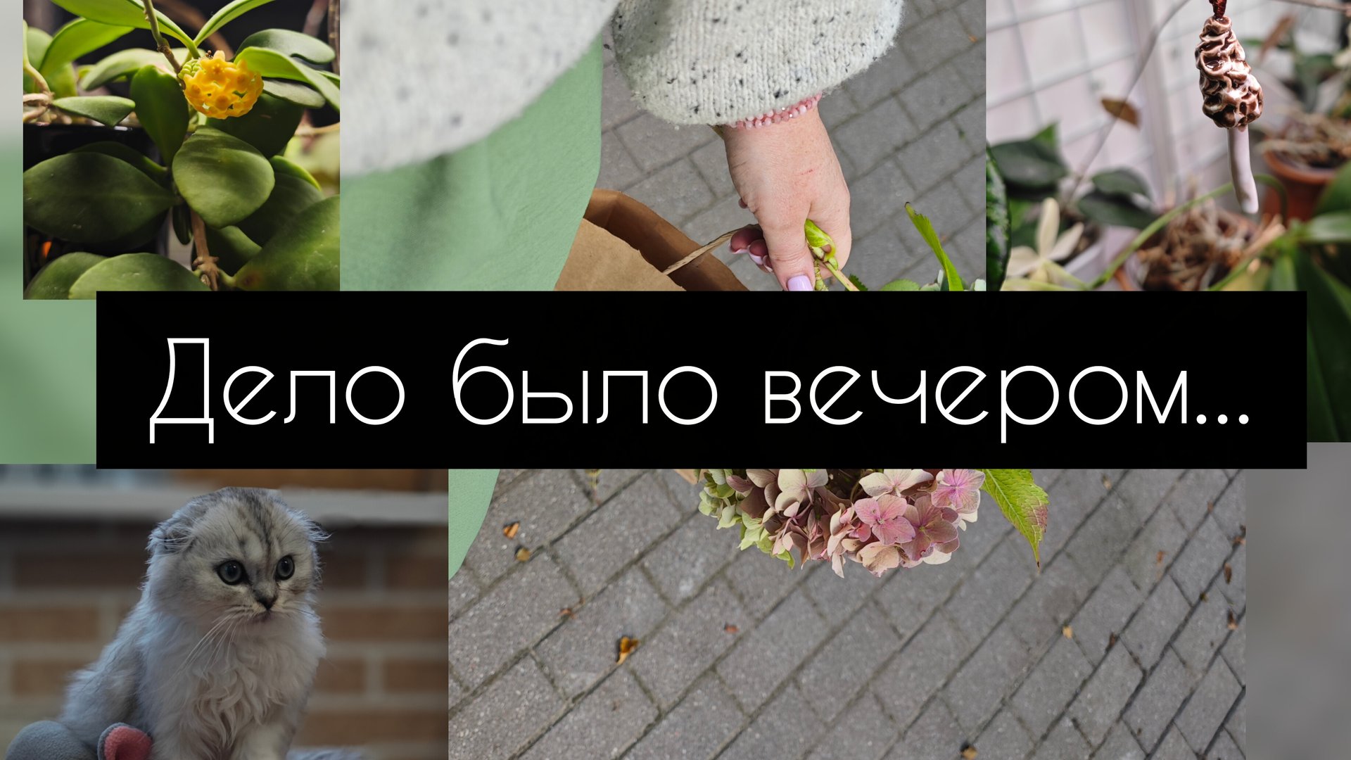 дело было вечером... смотреть онлайн