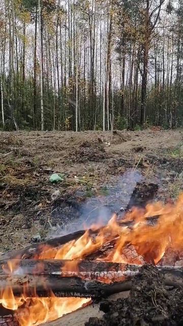 YouCut_20250926_003706878.mp4