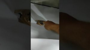 Коптильня своими руками для бизнеса