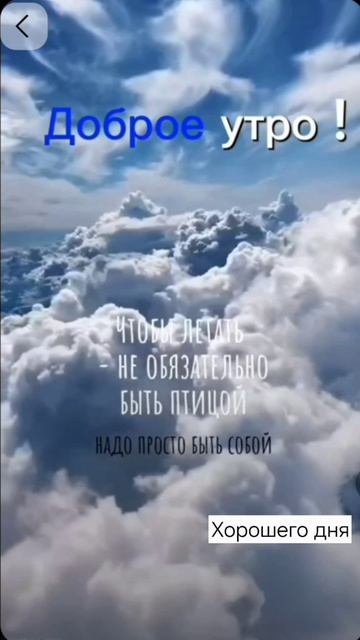 Доброе утро #утро #рек #лайк #подписка #рекомендации смотреть онлайн